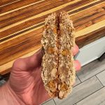 Oatmeal Cinnamon Crunch Cookie